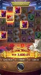 k66 · Rooster Rbl